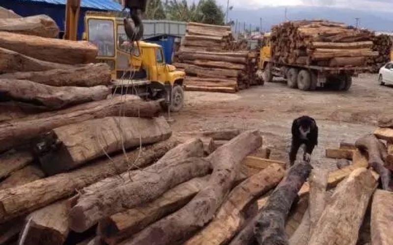 缅甸花梨凭什么，，价钱一起上涨....